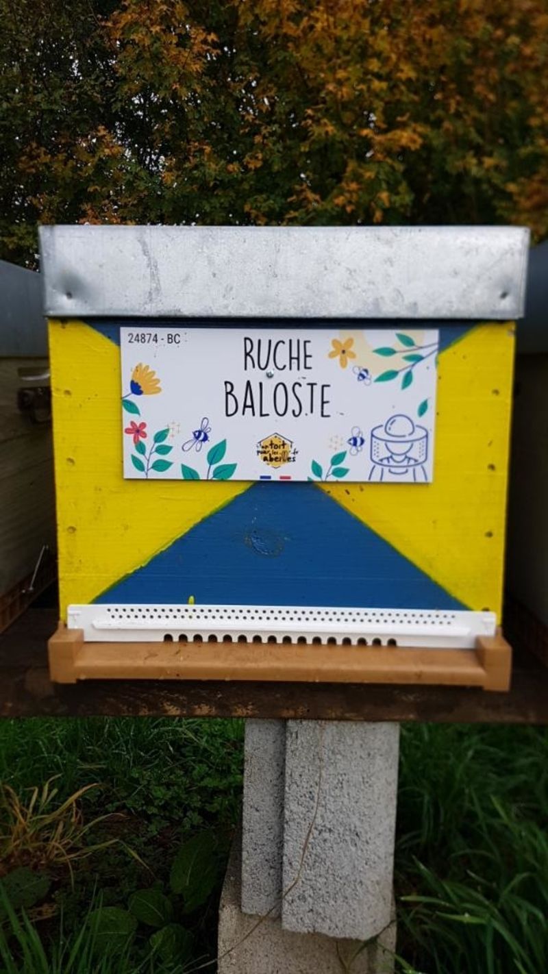 La ruche Baloste