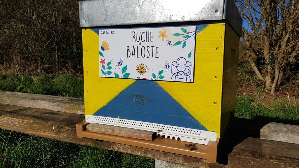 La ruche Baloste