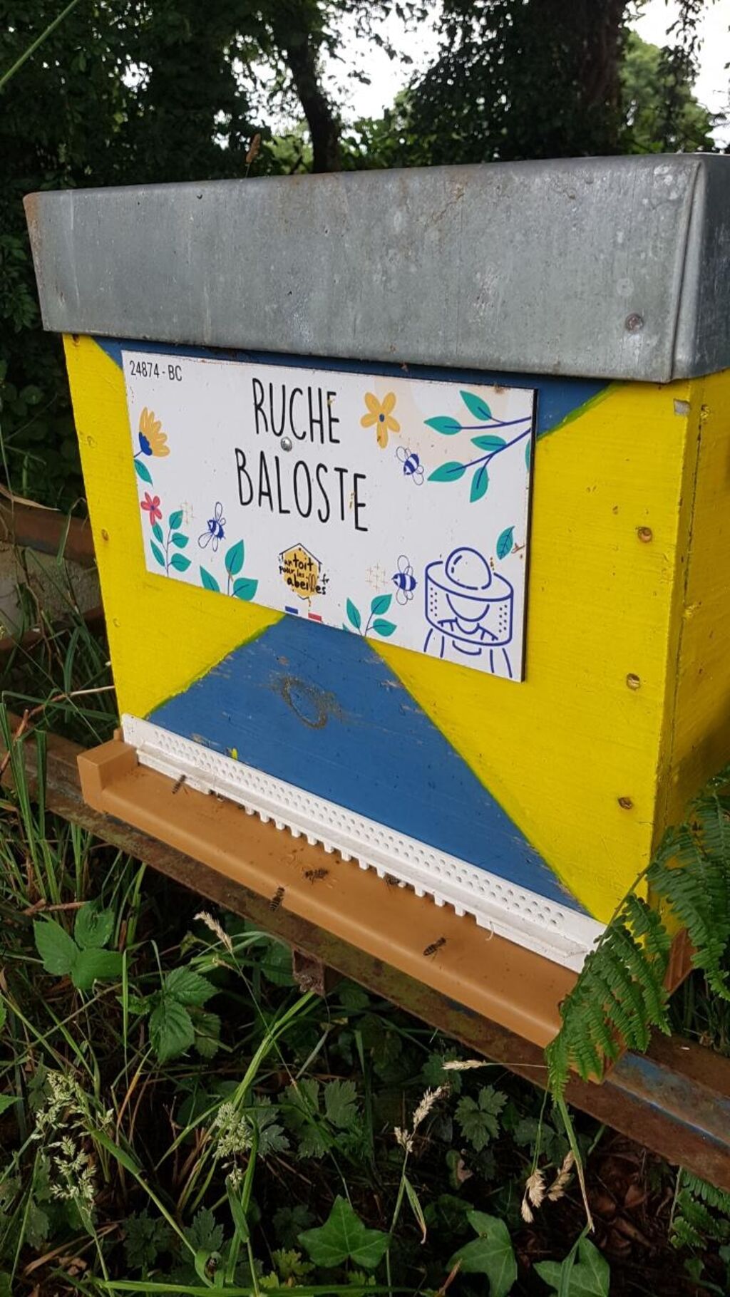 La ruche Baloste