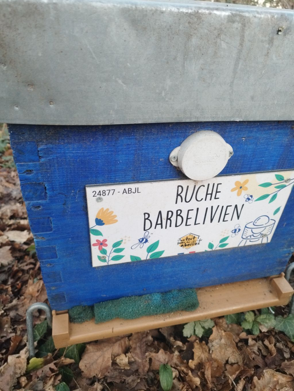 La ruche Barbelivien
