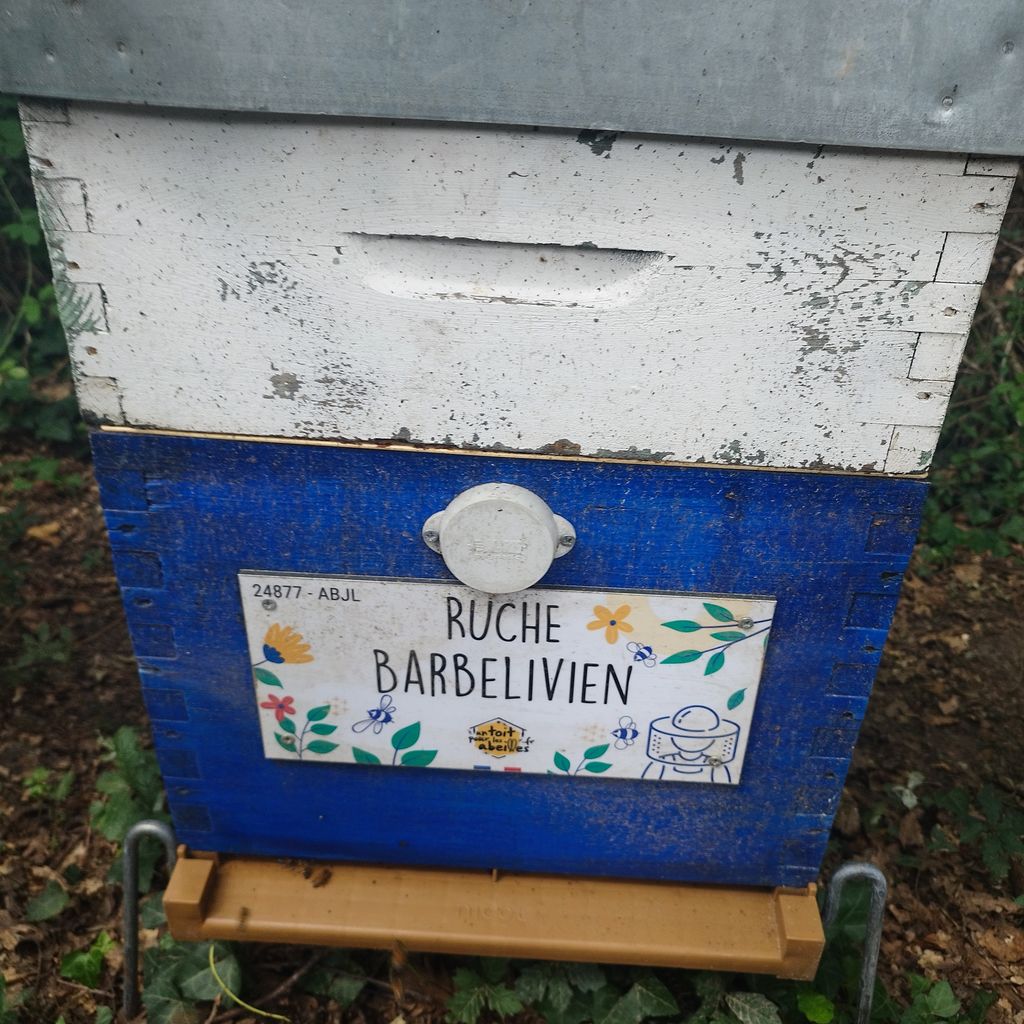 La ruche Barbelivien