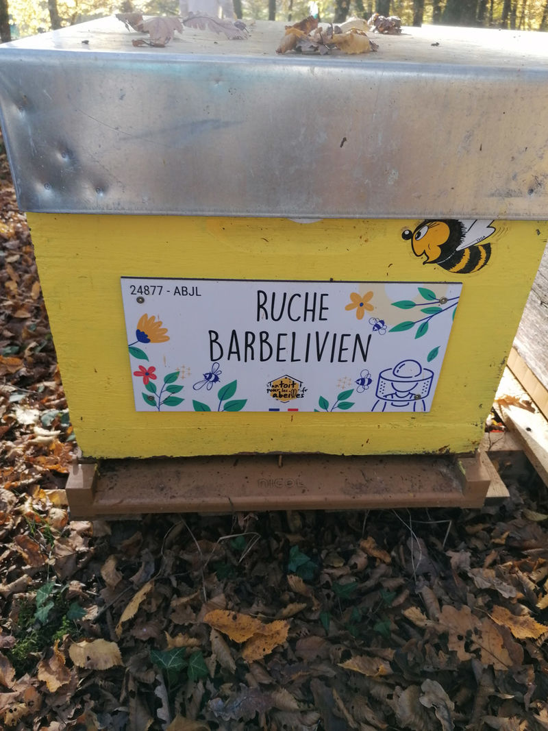 La ruche Barbelivien