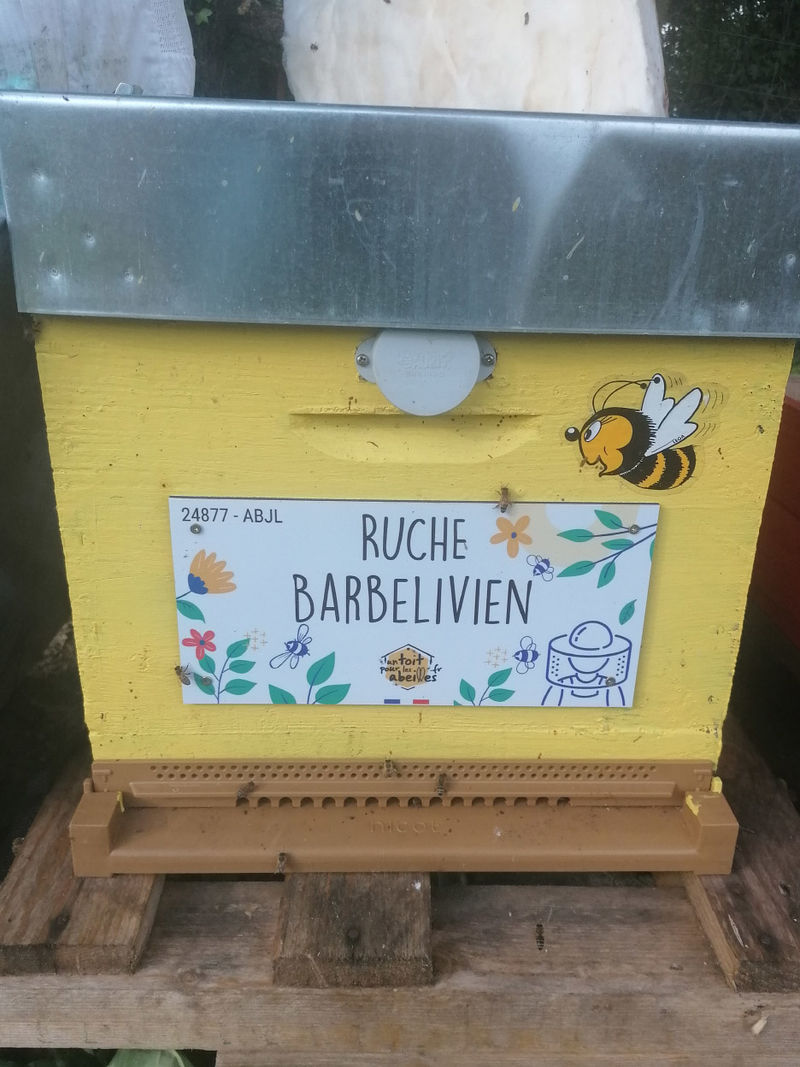 La ruche Barbelivien