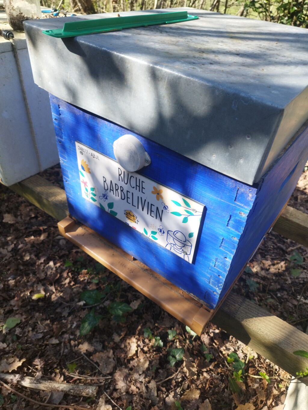 La ruche Barbelivien