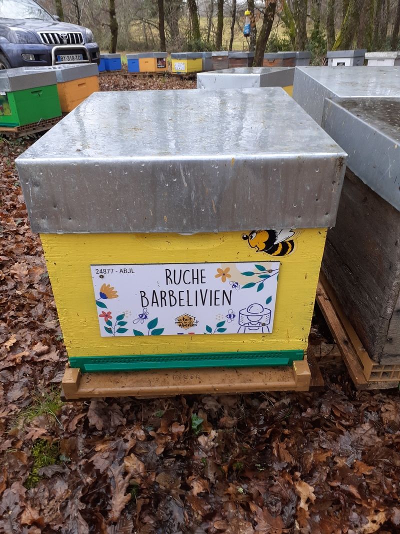 La ruche Barbelivien
