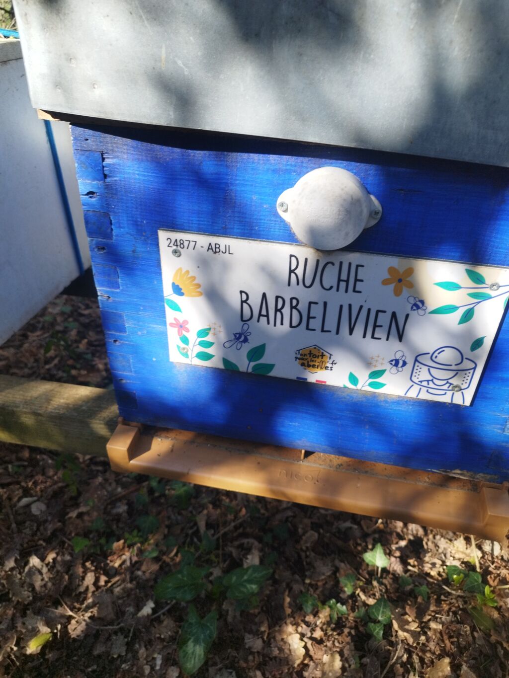 La ruche Barbelivien