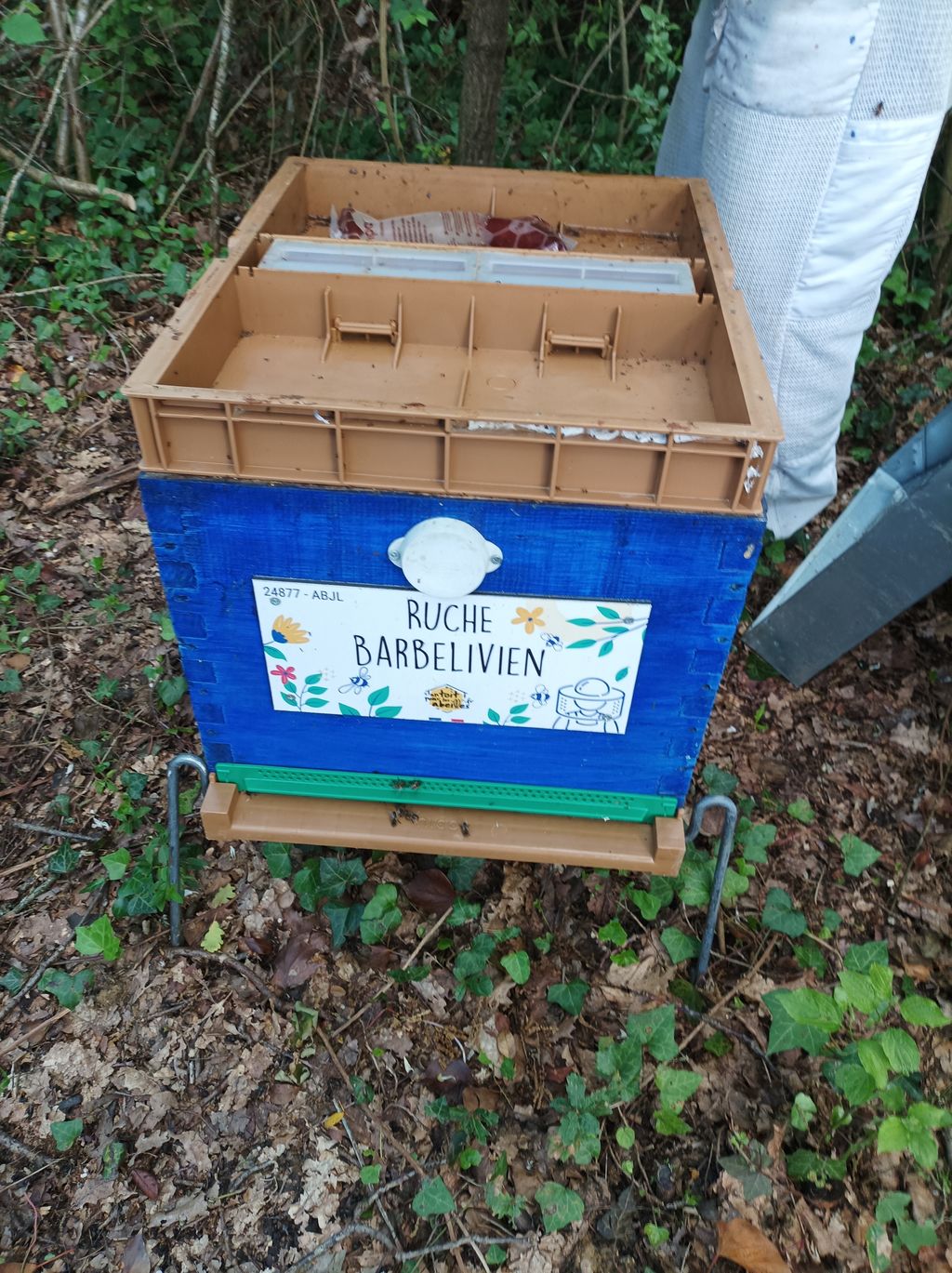 La ruche Barbelivien