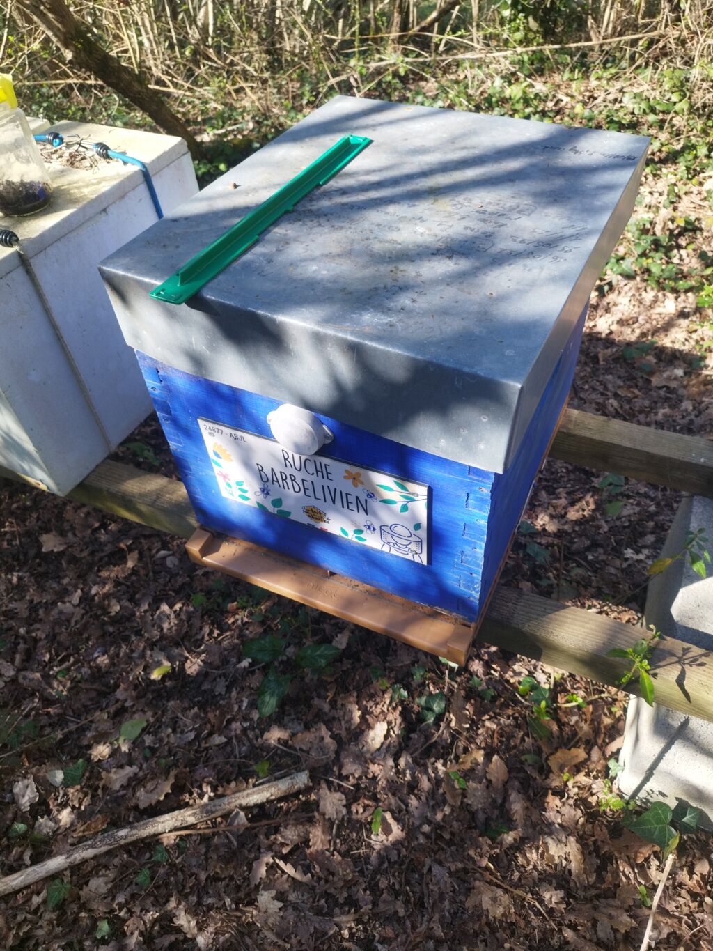 La ruche Barbelivien