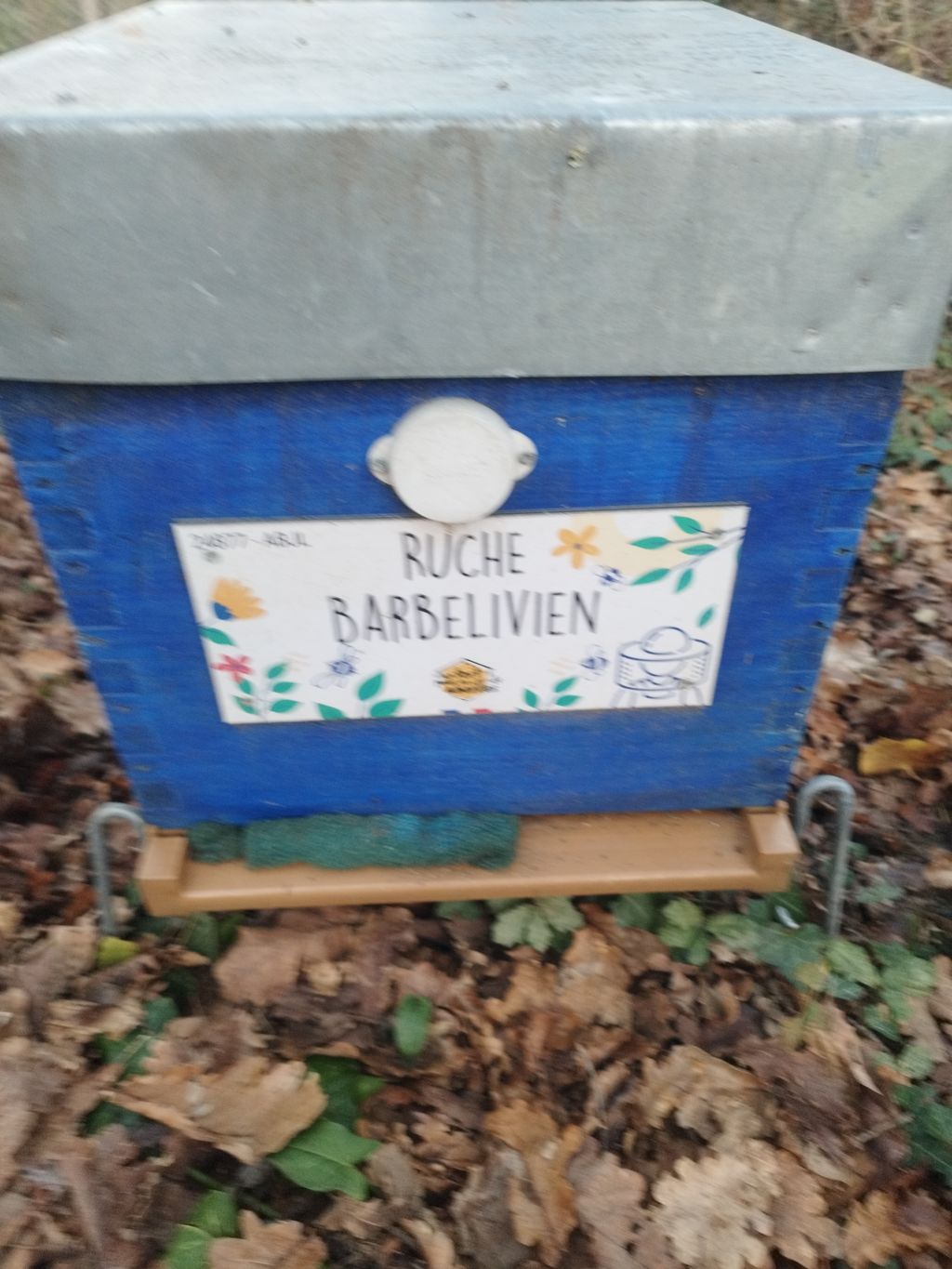 La ruche Barbelivien
