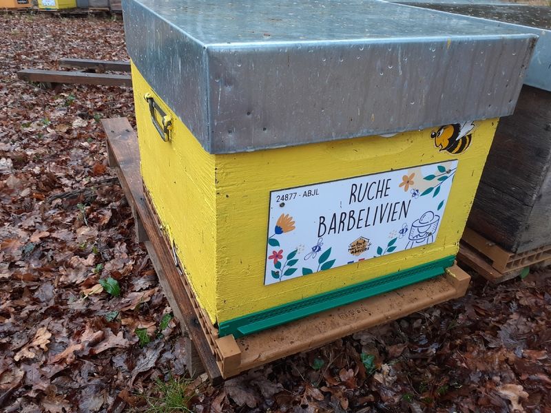 La ruche Barbelivien