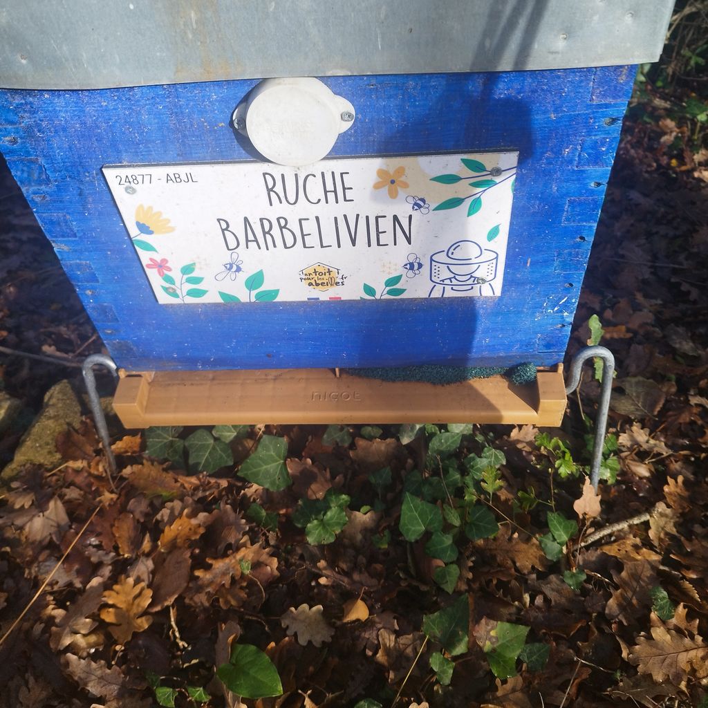La ruche Barbelivien
