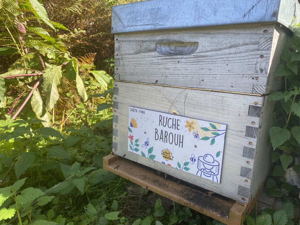 La ruche Barouh