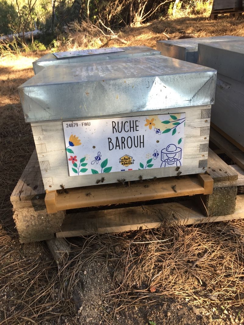 La ruche Barouh