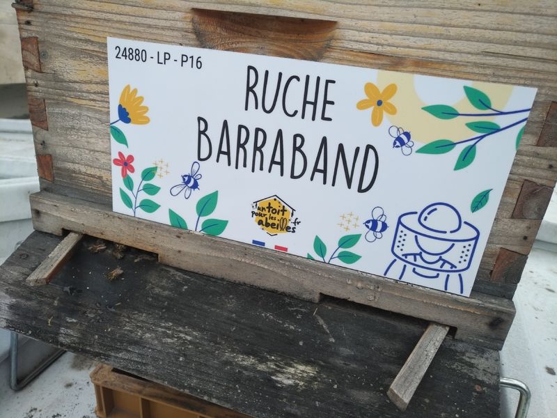La ruche