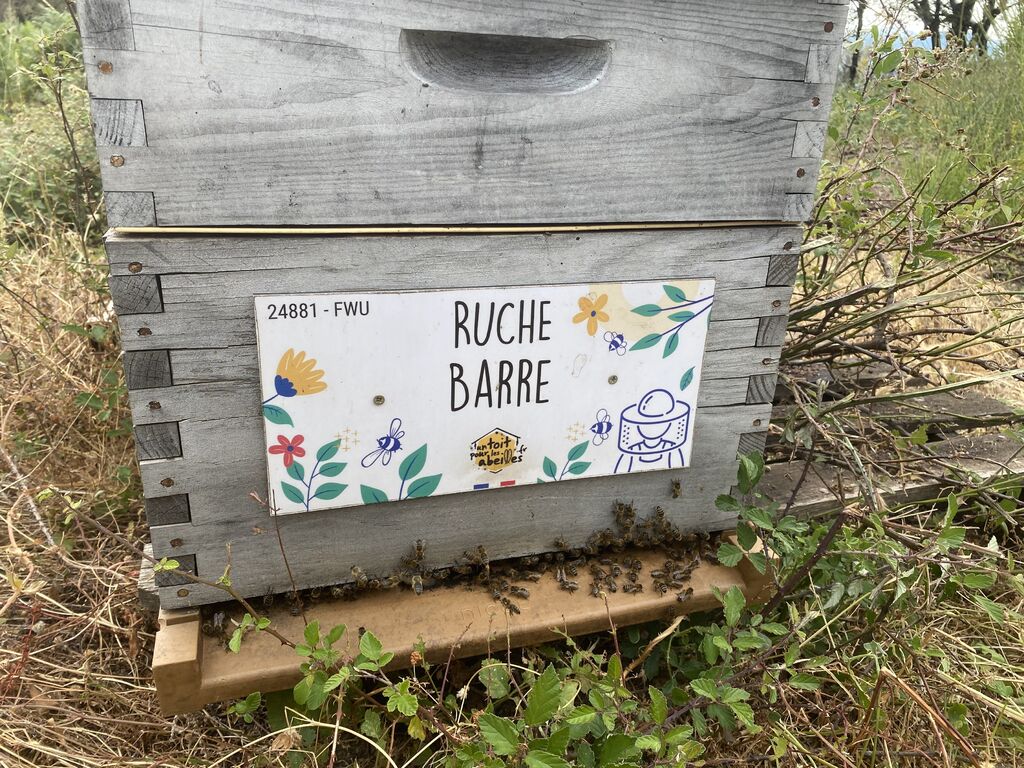 La ruche Barre
