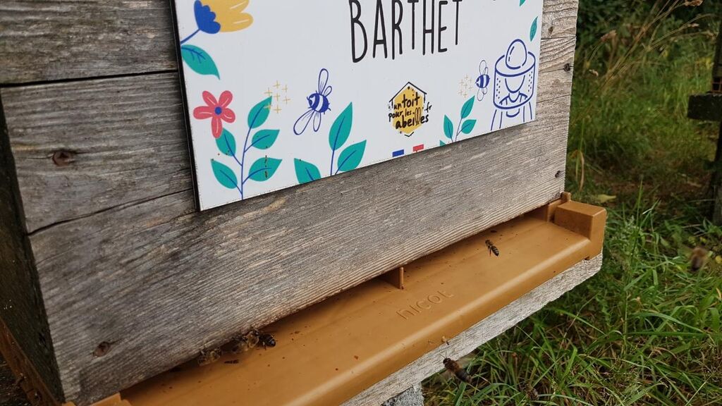 La ruche Barthet