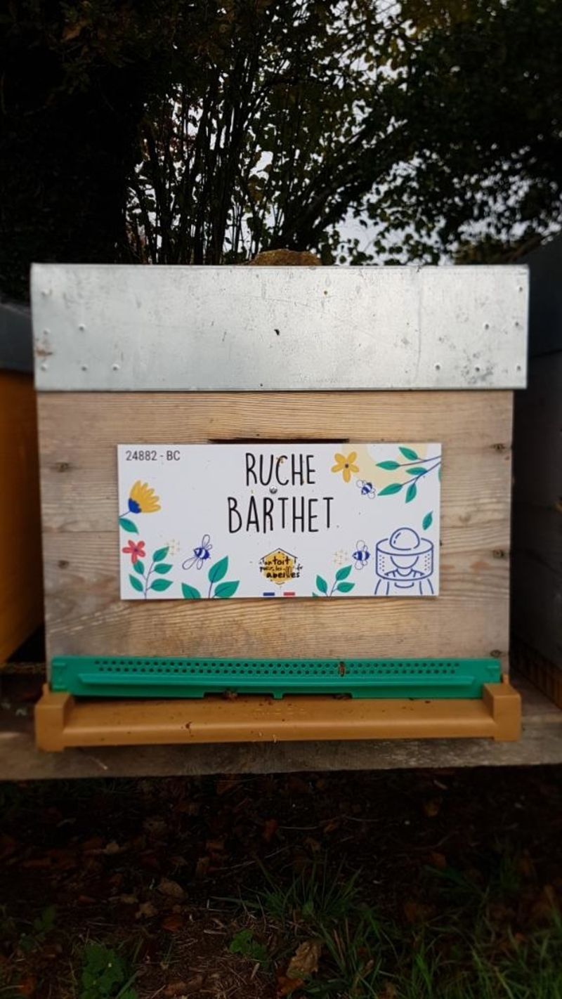 La ruche Barthet