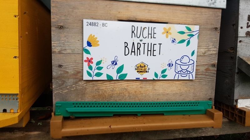 La ruche Barthet
