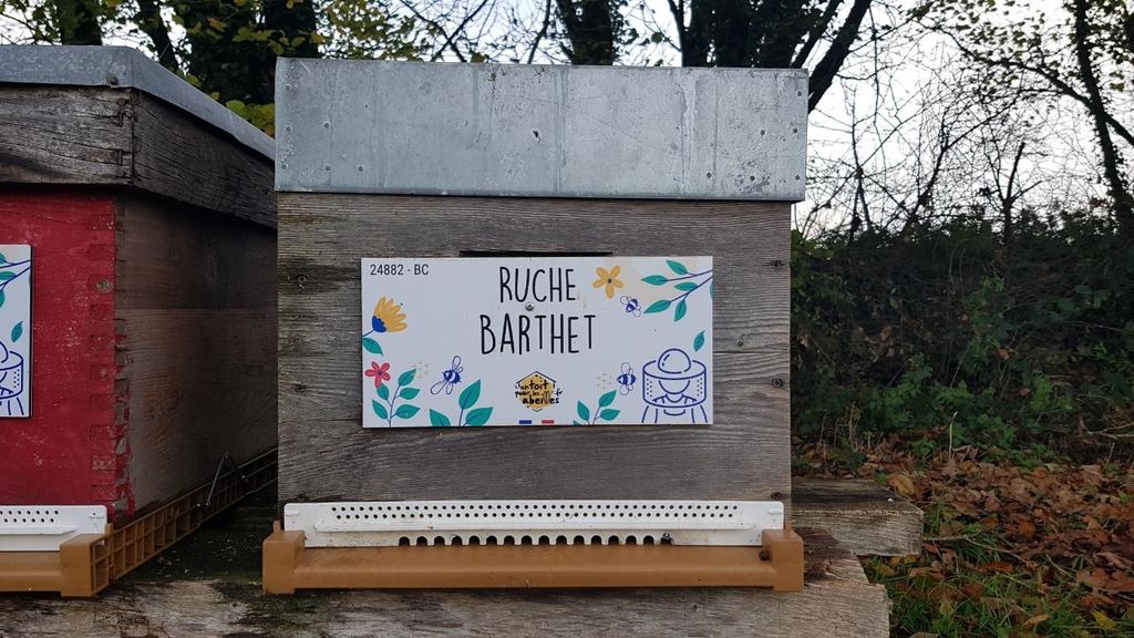 La ruche Barthet