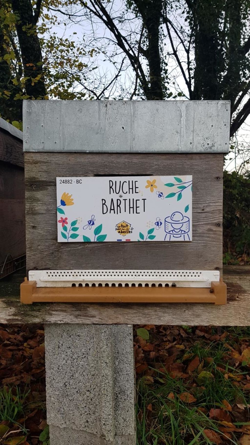 La ruche Barthet