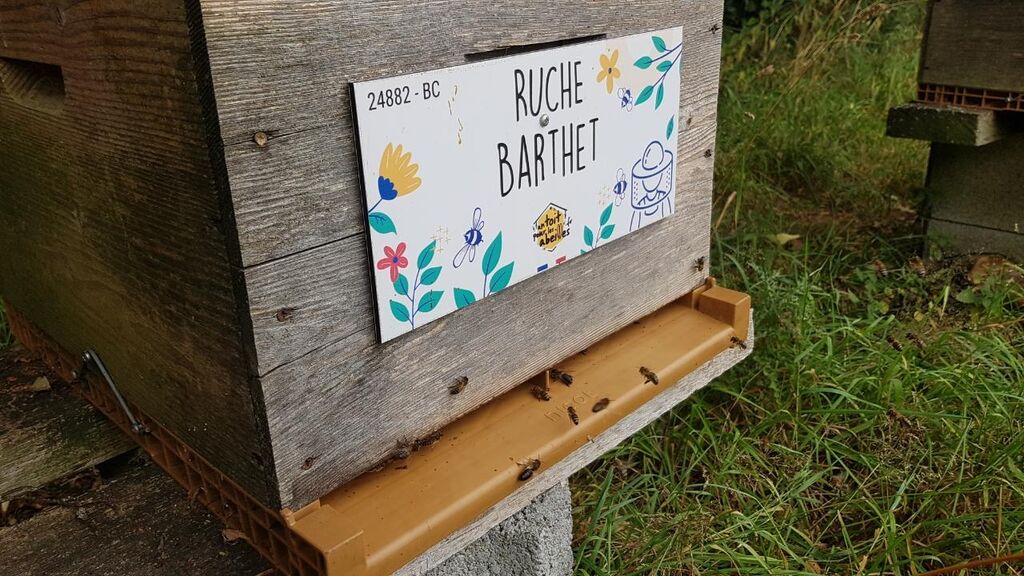 La ruche Barthet