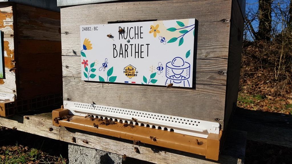 La ruche Barthet