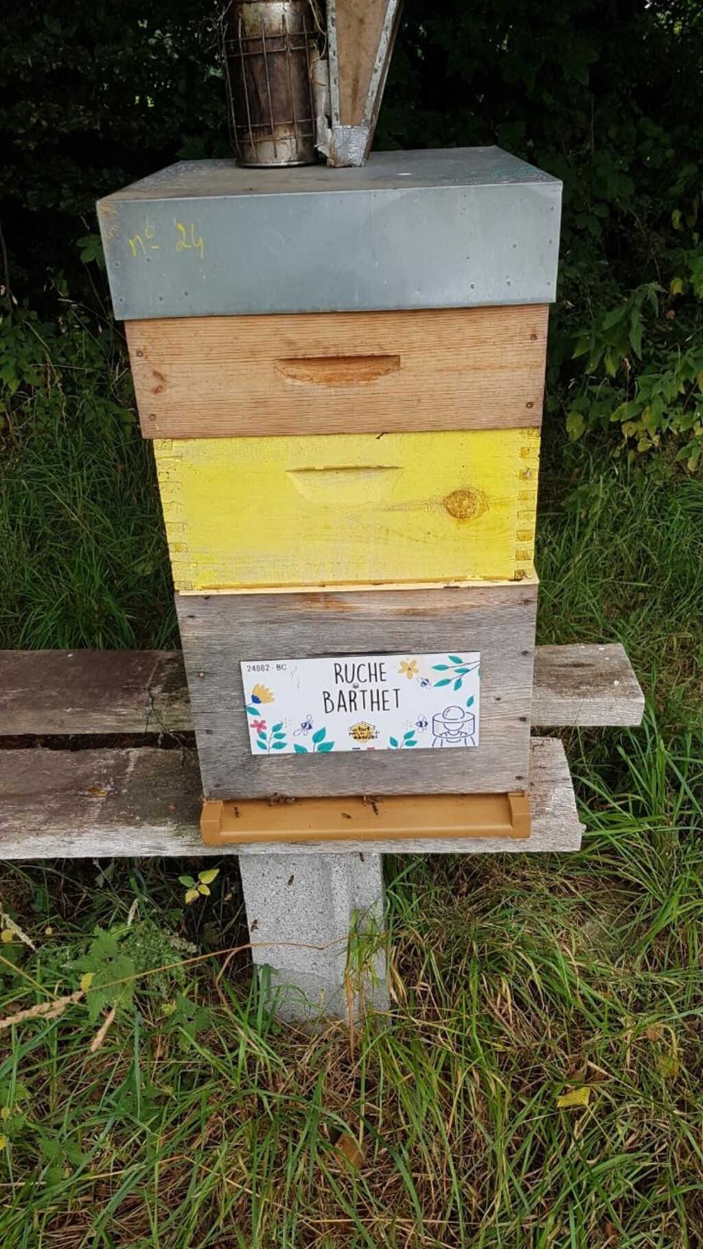 La ruche Barthet