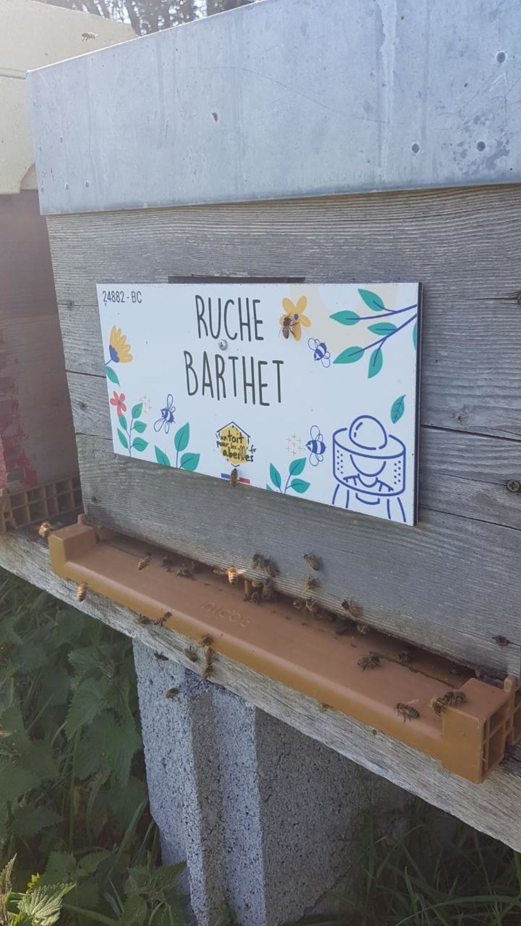 La ruche Barthet