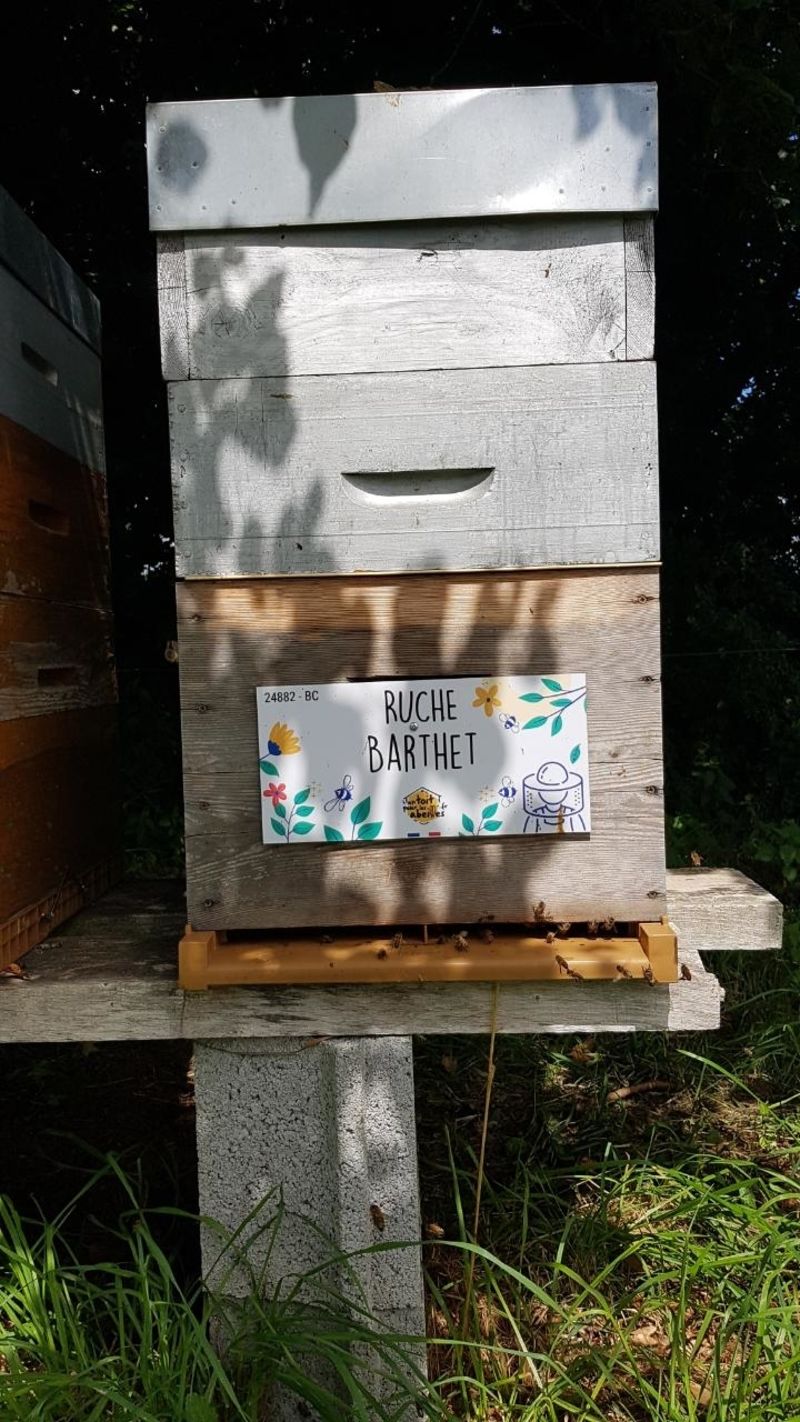 La ruche Barthet