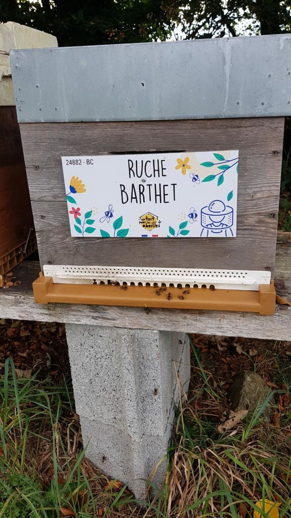 La ruche Barthet
