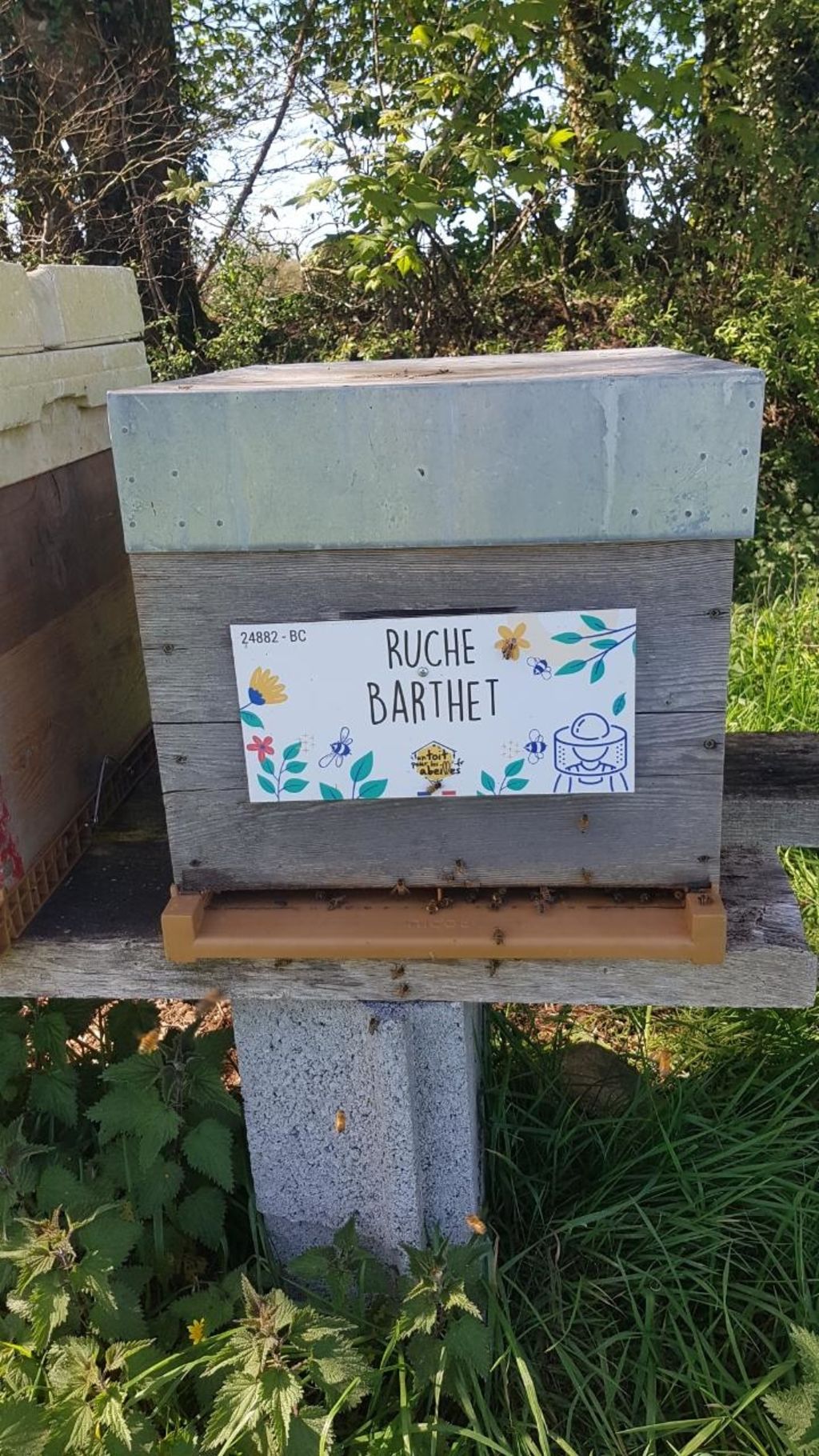La ruche Barthet