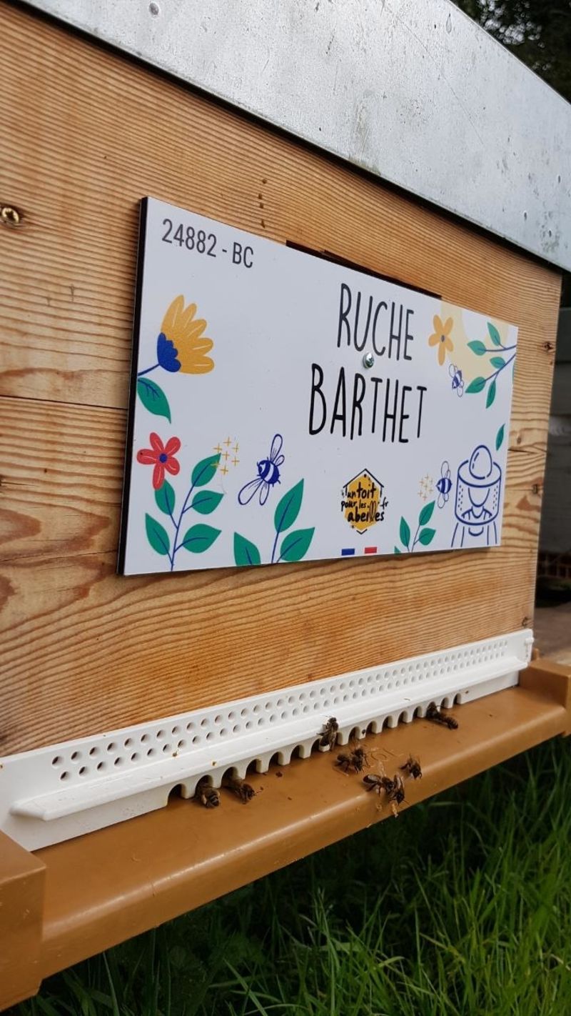 La ruche Barthet