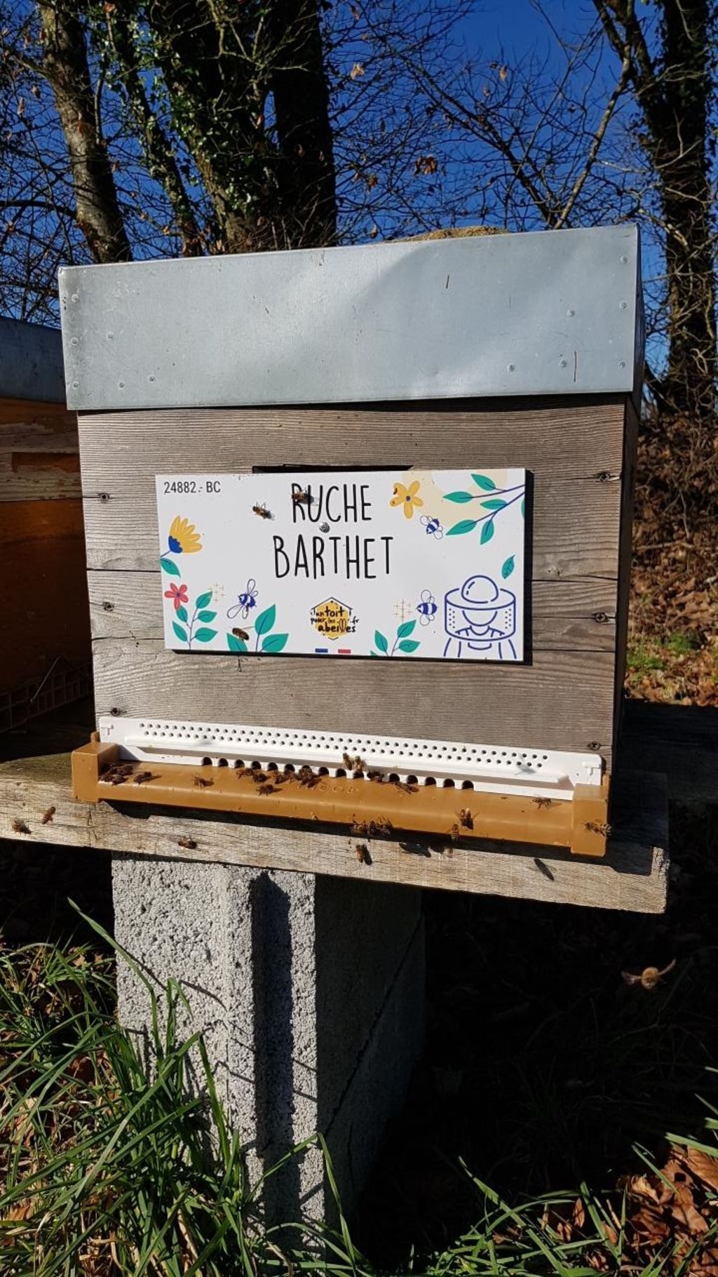 La ruche Barthet