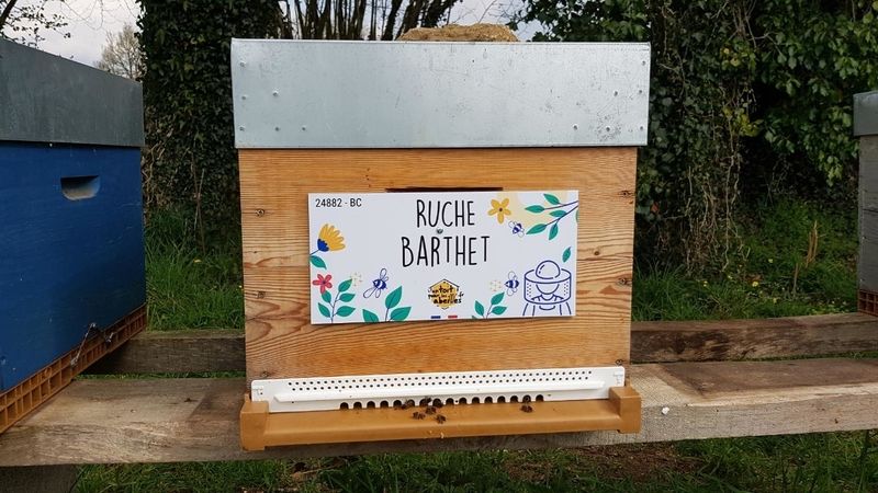 La ruche Barthet