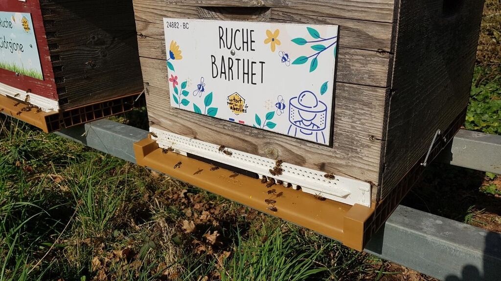 La ruche Barthet