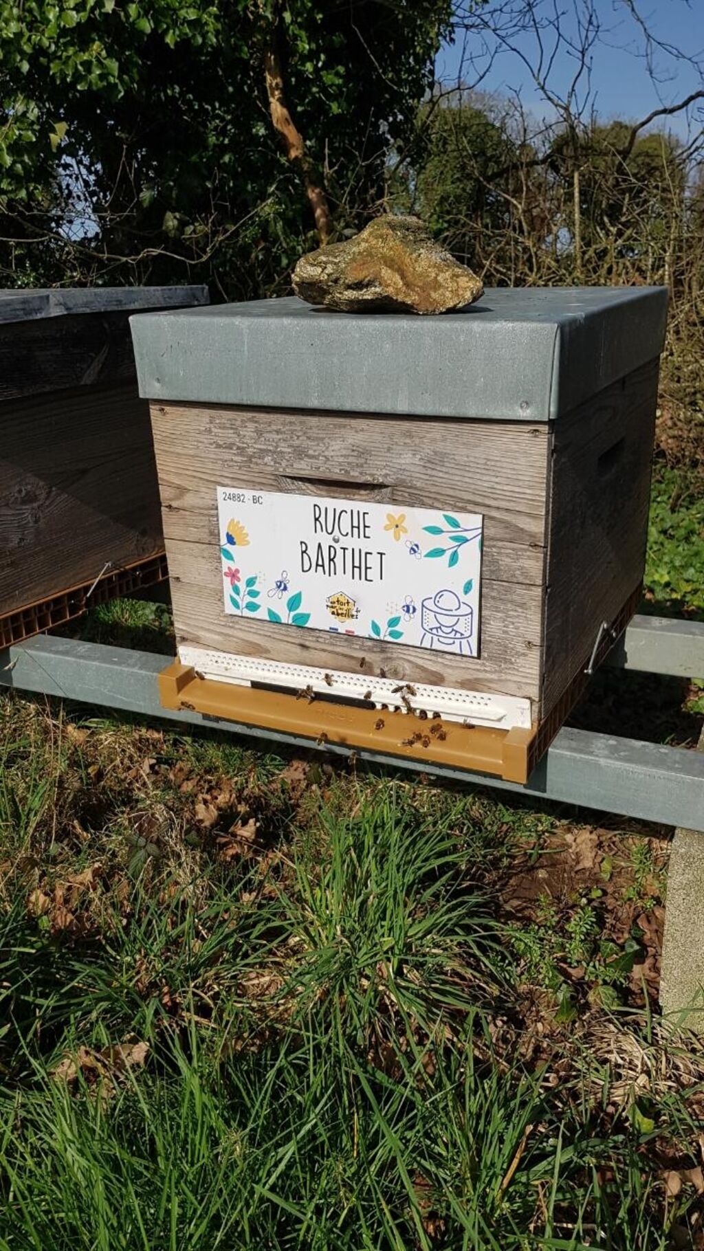 La ruche Barthet