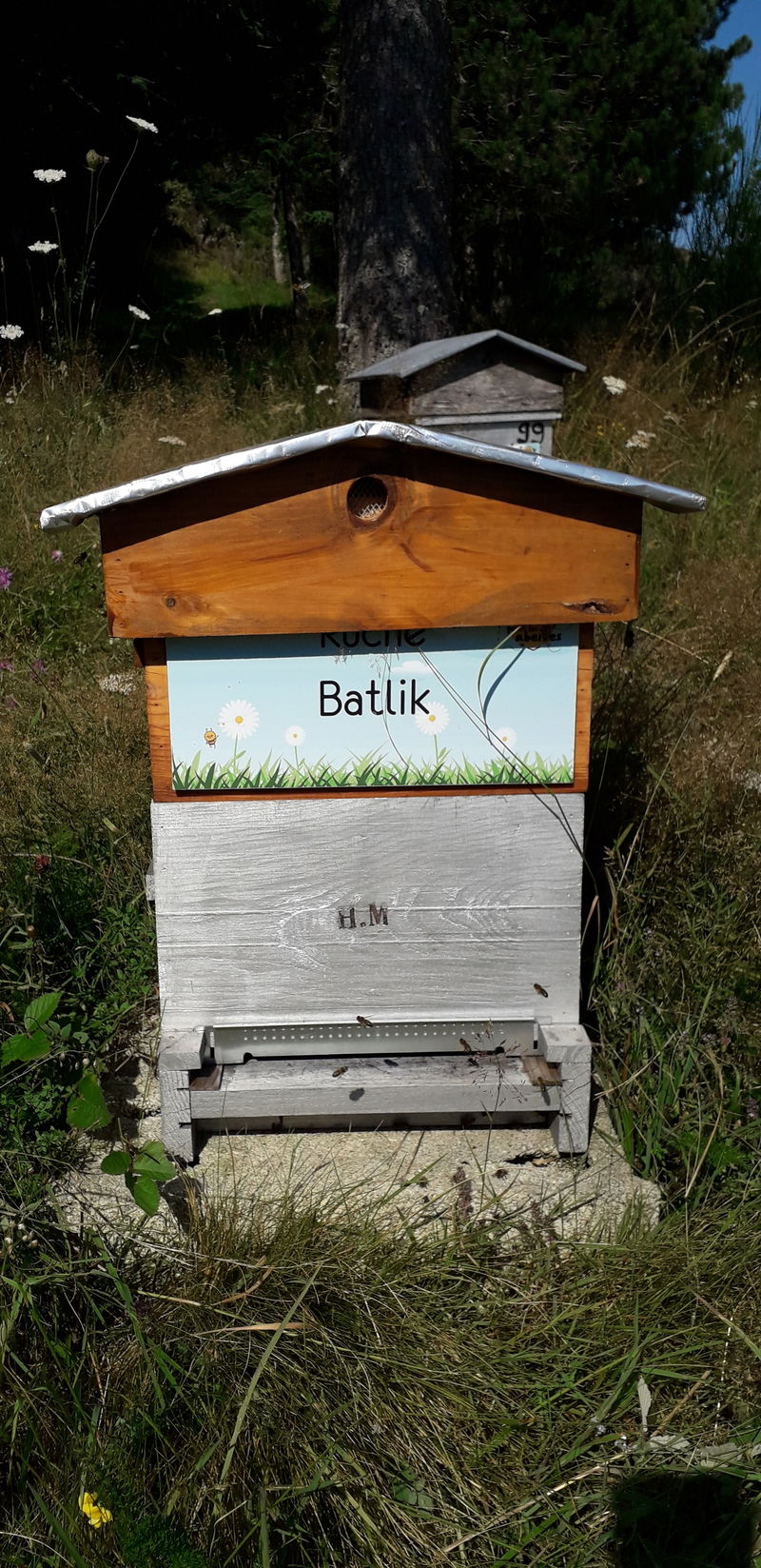 La ruche Batlik