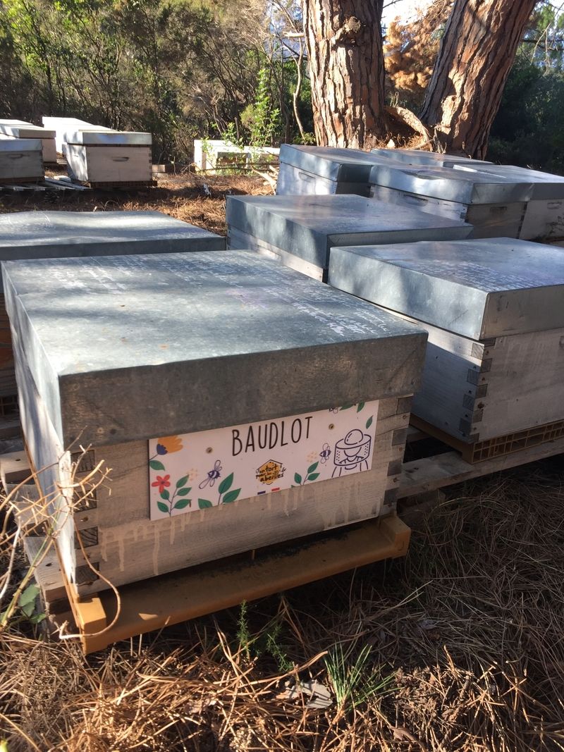 La ruche Baudlot