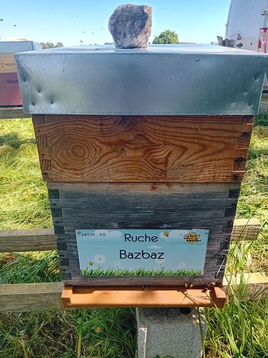 La ruche Bazbaz