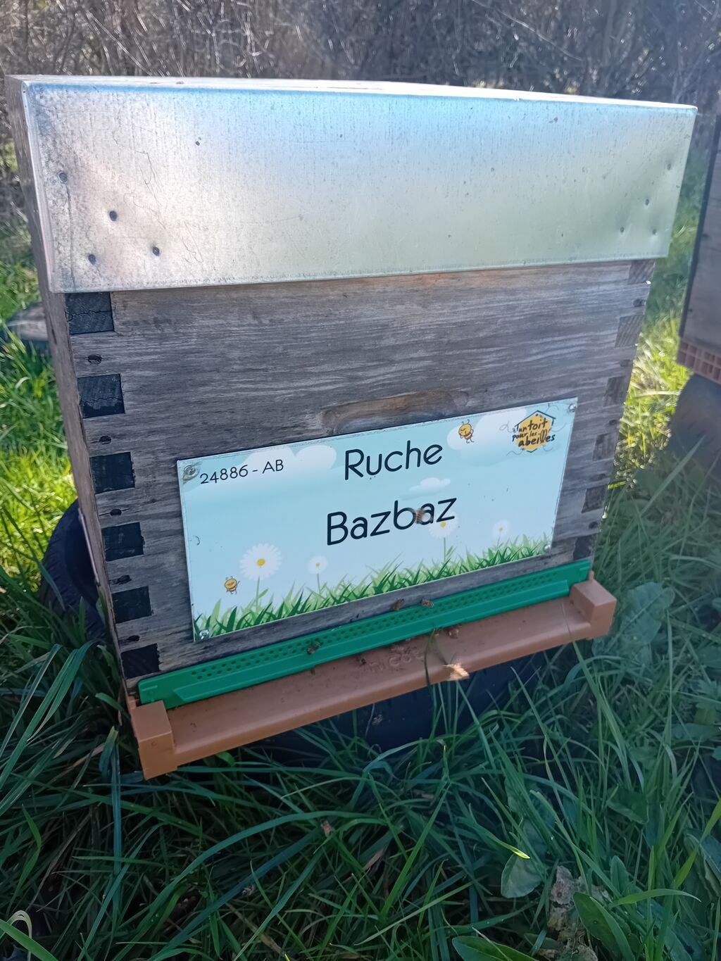 La ruche Bazbaz