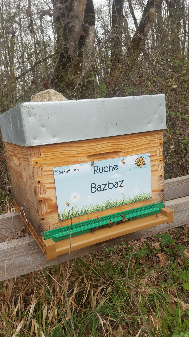 La ruche Bazbaz
