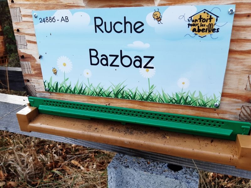 La ruche Bazbaz