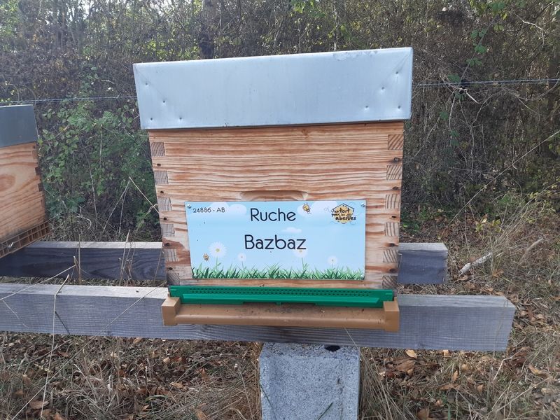 La ruche Bazbaz