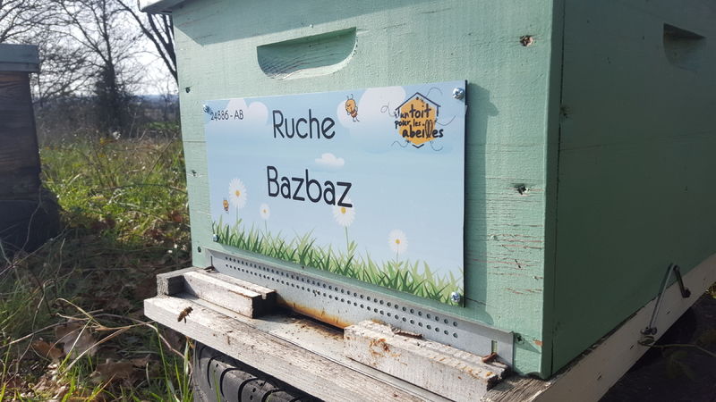 La ruche Bazbaz