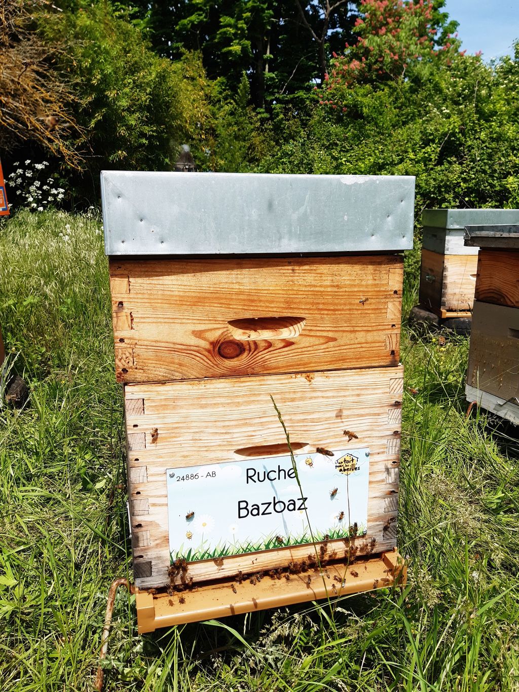 La ruche Bazbaz