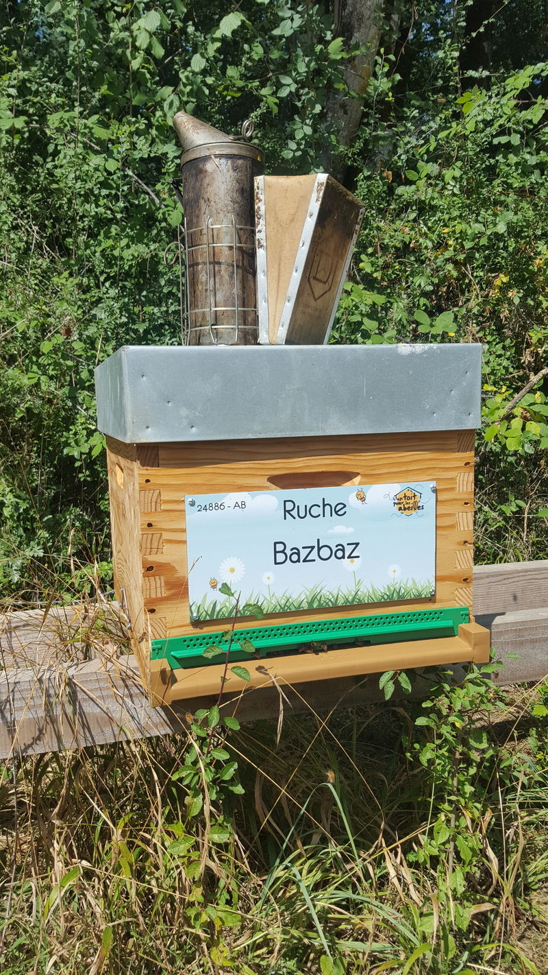 La ruche Bazbaz