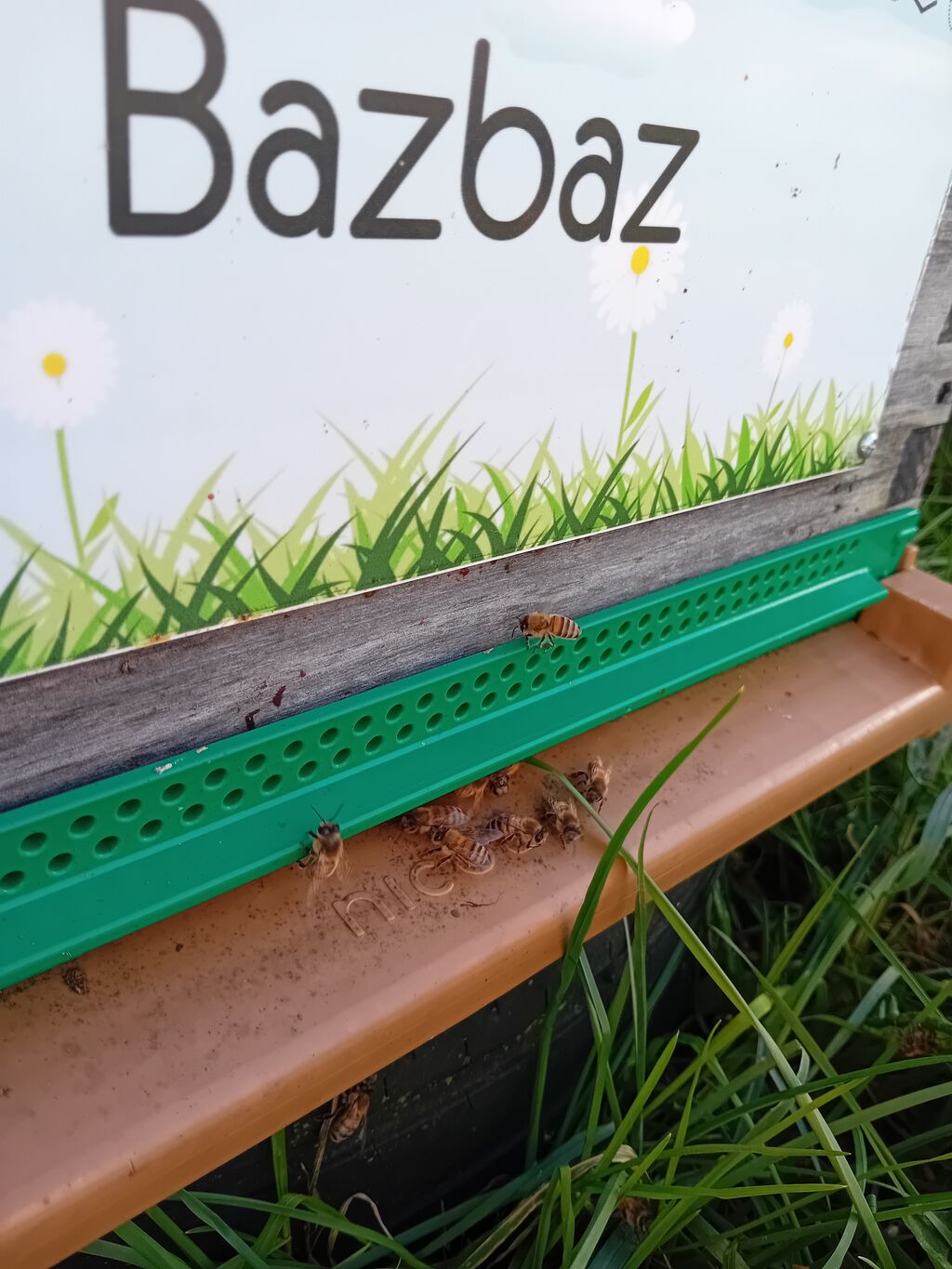 La ruche Bazbaz