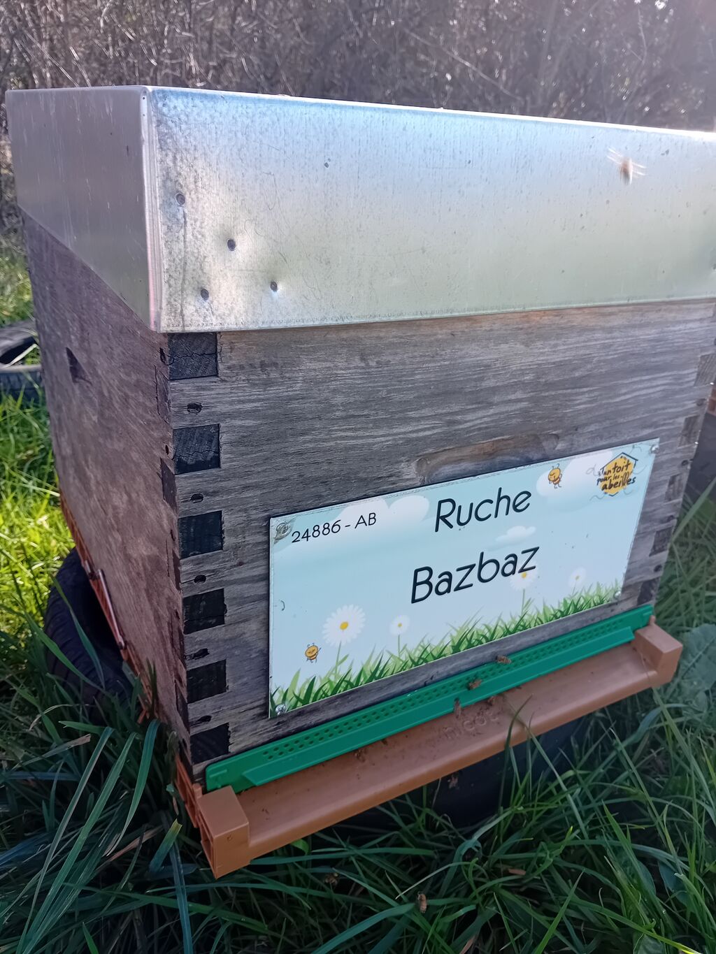 La ruche Bazbaz