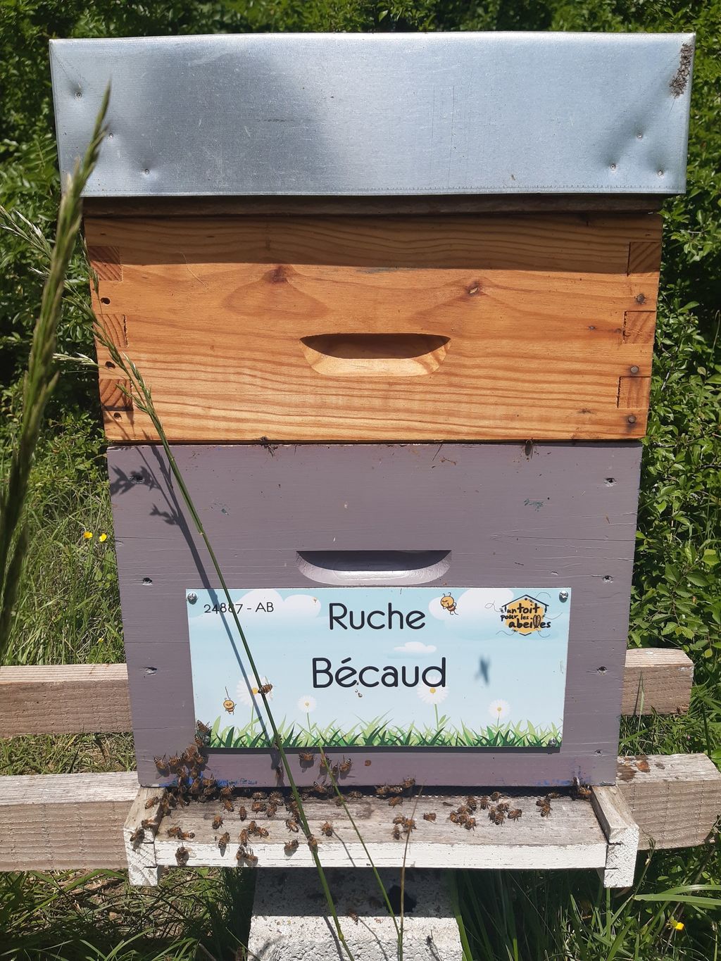 La ruche Bécaud