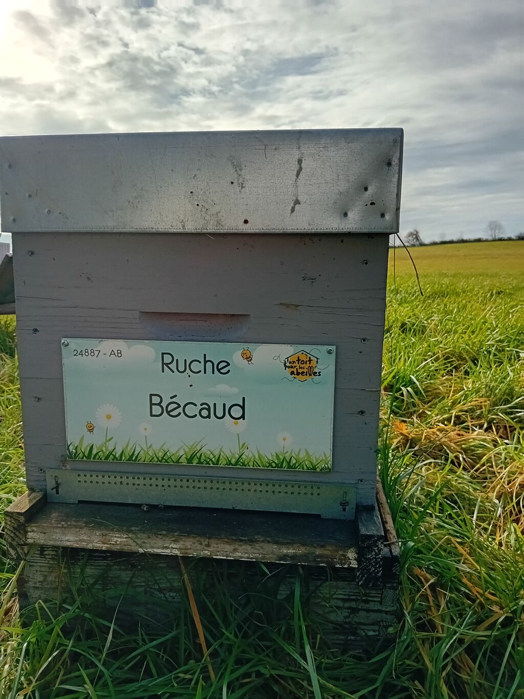La ruche Bécaud